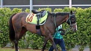 【ＰＯＧ】「勝ち負け」と黒岩調教師は期待　２週連続の好時計のゴールデンハニビーは１８日に東京移動で万全の態勢