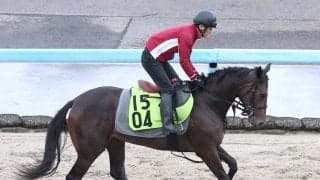 【ＰＯＧ】ソフト柳田悠岐オーナーのブラックミューズ「初戦から楽しみ」２０日阪神５Ｒでデビュー