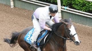 重賞２勝馬カンチェンジュンガ浅屈けん炎で引退に庄野調教師「あの派手な顔に、またどこかで…」　今後は乗馬になる予定　