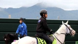 【ＰＯＧ】話題の白毛馬ソダシの半妹・スノーウィスパーは８枠９番に決定　いよいよデビューに須貝調教師「枠はどこでも」