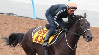 【府中牝馬Ｓ・金曜気配】テリオスララは両にらみからここ選択　田島調教師は「総合的に決めた」と説明　調整は順調