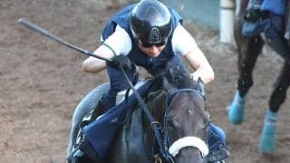 【天保山Ｓ・金曜気配】復帰２戦目のケイアイアニラは活気十分　吉岡調教師「非常に状態は上がっています」