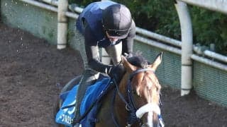 【天保山Ｓ・金曜気配】決め手が武器のノーブルロジャー　吉岡調教師「今回も自分のスタイルでいくと思います」