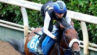 【天保山Ｓ・金曜気配】オープン２勝目狙うロードアウォードは坂路で最終調整　吉岡調教師「動きはいいときに戻っている」