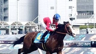 【川崎競馬】インディゴールドが８馬身差でデビュー戦圧勝　野畑凌騎手「楽しみです」父はインディチャンプ