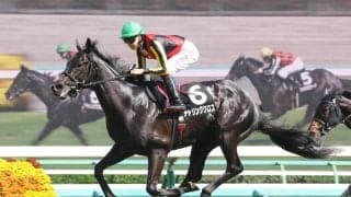 【２０日の注目・東京９Ｒ】クロワデュノール全弟が日本ダービーと同舞台で古馬撃破に挑む　前走後あえて放牧した成果見せる