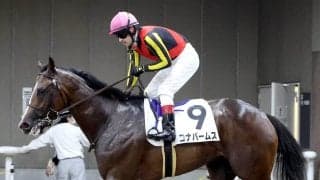 【東京５Ｒ・２歳新馬】「きれいな馬場の方がいい」ルメール騎手もガックリ　単勝１・８倍のコナパームスは３着　