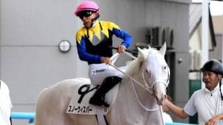 【函館５Ｒ・２歳新馬】須貝調教師「やっぱりダートかな」　“白毛一族”スノーウィスパーの初陣は６着　