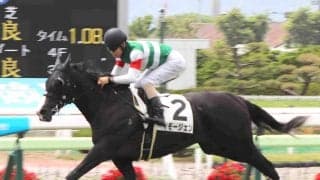 【函館５Ｒ・２歳新馬】イモージェン快勝　新種牡馬サリオス産駒が初勝利　ブリンカー進言の北村友一騎手「余力あった」