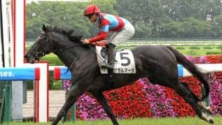 【阪神７Ｒ・３歳上１勝クラス】５・２億円馬サガルマータが「菊」へつなげる２勝目　福永調教師「いい成長曲線を…」