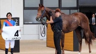 【函館６Ｒ・２歳新馬】単勝４番人気のノリヤンモーニンが５馬身差の逃げ切りＶ　浜中騎手「直線も余力十分でした」