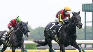 【東京９Ｒ・町田特別】クロワデュノールの全弟が菊花賞につながる３勝目　戸崎圭太騎手「いい馬ですね」