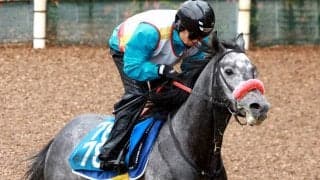 【しらさぎＳ・土曜気配】ミニトランザットはＣＷコースで活気十分　希望通りの７枠もゲット　杉山佳調教師「万全でいけるかな」