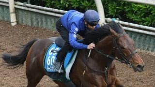 【しらさぎＳ・土曜気配】昨年覇者キープカルムは馬場状態がポイント　中竹調教師「どこまで回復してくれるか…」