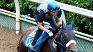 【しらさぎＳ・土曜気配】連勝中のカズミクラーシュは力強く登坂　吉岡調教師「今ならまた重賞でも…」
