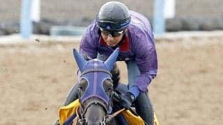 【府中牝馬Ｓ】１番人気はヴァルキリーバースで３・０倍　コガネノソラが６・１倍で続く　オッズ速報