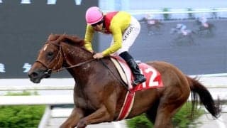 【高知・御畳瀬特別】不良馬場の決戦でサノノエスポが連勝決めた　３連単は１３万円超　単勝１・８倍のミトノオーは１０着