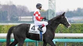 【２１日の注目・東京６Ｒ】４億円馬ダノンアスコルティが初勝利目指す　ルメール騎手と“４度目の正直”なるか