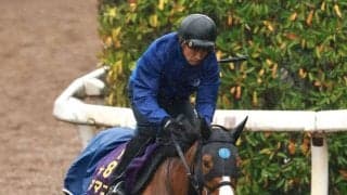【さきたま杯】武豊騎手のママコチャは８枠１１番　勝てば１９年ぶり４勝目　川田将雅騎手のウィルソンテソーロは６枠７番