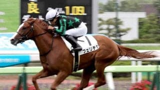 【函館５Ｒ・２歳新馬】フェリチタが逃げ切りＶ　タワーオブロンドン産駒が上位独占　順調なら函館２歳Ｓへ