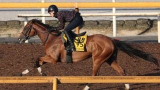 日曜東京競馬場の注目激走馬…東京１１Ｒ府中牝馬ステークス・Ｇ３