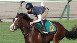 【函館５Ｒ・２歳新馬】単勝１・８倍の１番人気コックニーは２着に敗れる　横山武史騎手「まだ体が緩いです」
