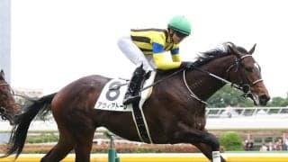 【東京５Ｒ・２歳新馬】７番人気アヴィアトーレが鮮やか逃走Ｖ　ゴンサルベス騎手「もっと距離を延ばしても」