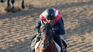 【しらさぎＳ】横山和生騎手「手応えに余裕がない」メンバー唯一の３歳馬エコロアルバは後方追走から３着まで