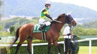 【しらさぎＳ】超良血スイープアワーズは重賞初挑戦で５着　「昇級戦でこれだけいい競馬」国分優作騎手は手応え
