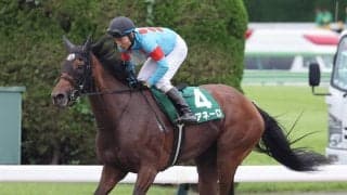 【府中牝馬Ｓ】単勝９４・６倍で１４番人気のミアネーロが３着　同レース最高配当３連単１０６万円超を演出