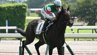 【ラジオNIKKEI賞】ローベルクランツ、サウンドムーブなどが登録
