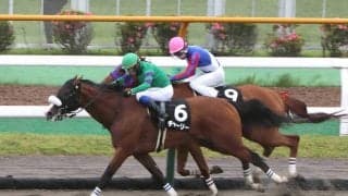 【函館１０Ｒ・檜山特別】単勝１・３倍の１番人気チャーリー快勝　奥村武調教師「相手がしぶとくてドキドキしました」