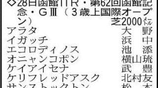 【函館記念展望】２つ目の重賞勝利を狙うマジックサンズやデビットバローズなど混戦模様　サマー２０００シリーズ第１戦