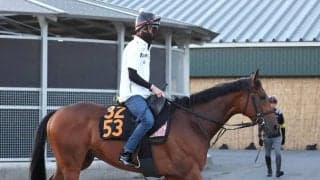 【ラジオＮＩＫＫＥＩ賞・浅子の特注馬】葉牡丹賞レコードＶのサノノグレーター　きれいな跳びで開幕週の馬場は好条件