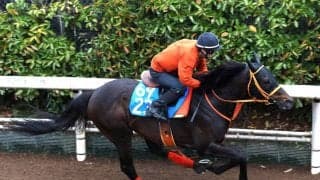 【函館記念・理貴の特注馬】武豊騎手と８戦ぶりにコンビ復活のケイアイセナ　昨夏レコード駆けの函館で躍動