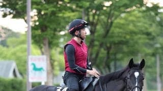 【ラジオＮＩＫＫＥＩ賞・水納の特注馬】叩き２戦目のバドリナートに期待　ホープフルＳは２冠馬ロブチェンと０秒４差