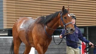 【函館記念・イシゴーの特注馬】フィーリウスが３連勝で重賞タイトルへ　手塚久調教師は小回り＆洋芝適性に手応え