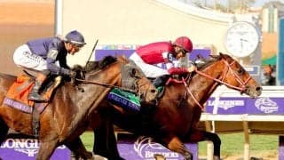 「日本のスーパースター」フォーエバーヤングの秋遠征に全米が歓喜　ＢＣ主催者「世界中の競馬ファンの心をつかんでいます」