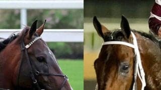 【スティーブンフォスターＳ】フォーエバーヤングのライバルが２８日朝激突　ドバイＷＣ覇者のマグニチュードＶＳ年度代表馬ソヴリンティ