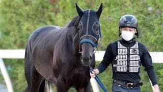 バーレーン国際トロフィーがＧ１昇格　札幌記念の勝ち馬は自動招待　ディアドラなど過去に日本調教馬３頭が参戦