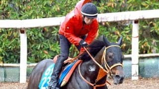 【函館記念】７歳ディープインパクト産駒ケイアイセナは函館・芝のレコードホルダー　偉大な父にＪＲＡ重賞２９９勝目贈る