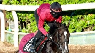 【ラジオＮＩＫＫＥＩ賞】実績上位のバドリナート　リステッド勝ちの距離で初タイトルへ　松永幹調教師「徐々に良くなっている」