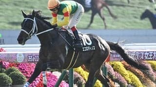 【函館記念展望】好走データを全て満たす4歳馬エコロディノスに注目