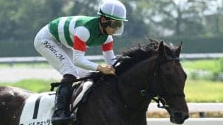 【ラジオNIKKEI賞予想オッズ】ローベルクランツが予想1番人気