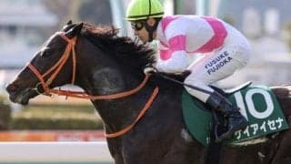 【函館記念】ディープ産駒が17年連続のJRA重賞制覇なるか ケイアイセナが初タイトル狙う