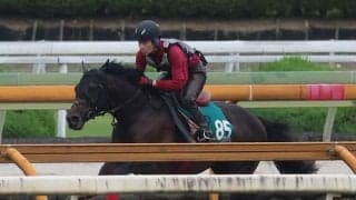 【JRA新馬戦】ラッキーライラックの仔ラッキースパークルなどがデビュー