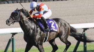 新種牡馬ジャンダルムの産駒が初勝利なるか リエーヴェに注目だ