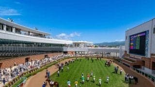 今年開設130周年 あなたの函館競馬の思い出は？
