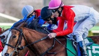 フェアリーS覇者のブラックチャリス 距離短縮で巻き返しだ
