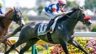 【ラジオNIKKEI賞前日オッズ】リッツパーティーが4.8倍で1番人気